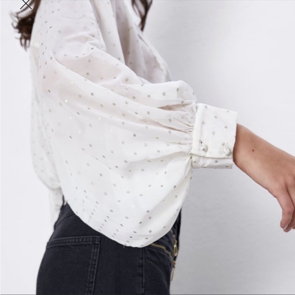 Zara Sheer Polka Dot Blouse - Picture 3 of 9